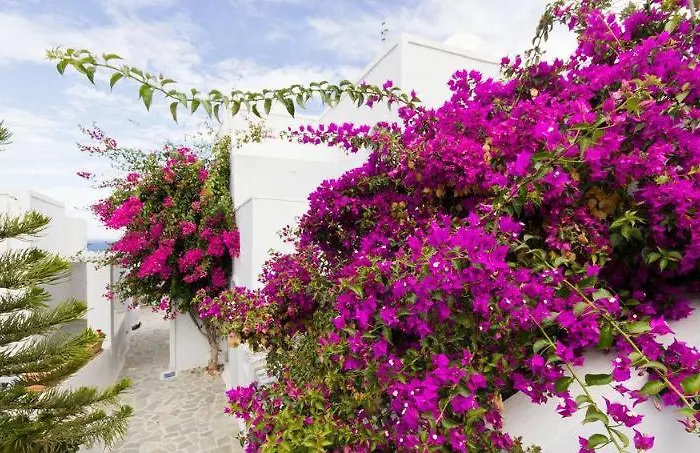 Unique Galini - Adults Only Lejlighedshotel Oia