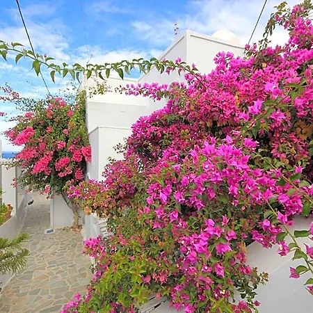 شقة فندقية Unique Galini - Adults Only 4*