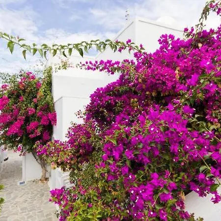 Unique Galini - Adults Only Lägenhetshotell Oia
